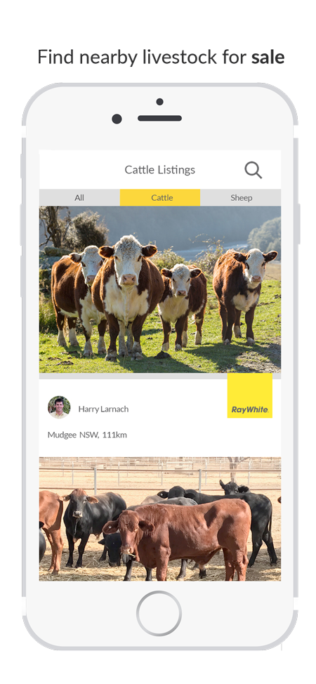 Ray White app development